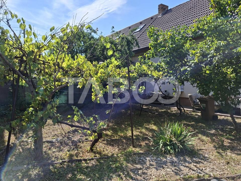 Casa cu 2 camere decomandate 335 mp teren in zona Parcul Tineretului – fotografia 8 din 14
