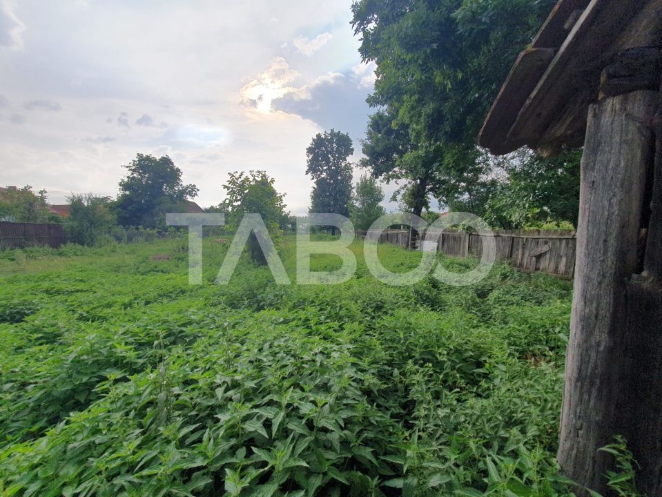 Casa de vanzare in Mandra 140 mp utili curte sura anexe 3 beciuri – fotografia 8 din 8