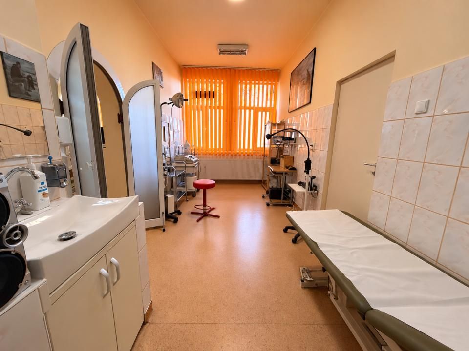 Cabinet Medical autorizat de inchiriat in Oradea, ultracentral langa Primarie – fotografia 2 din 6