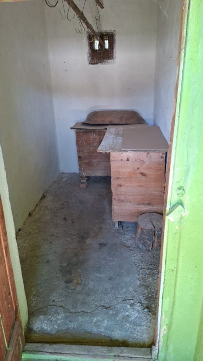 Casă în Cricău cu 1.375 mp teren, anexe, utilități, vie și livadă - Oportunitate – fotografia 44 din 54