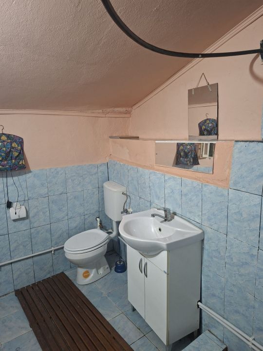 Casă în Cricău cu 1.375 mp teren, anexe, utilități, vie și livadă - Oportunitate – fotografia 27 din 54