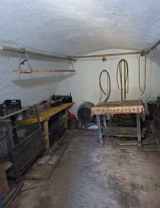 Casă în Cricău cu 1.375 mp teren, anexe, utilități, vie și livadă - Oportunitate – fotografia 32 din 54