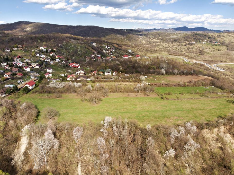 Mountain Plateau - 23.345 SQM - Exclusive Estate | Jud Prahova - Valea Prahovei – fotografia 4 din 10