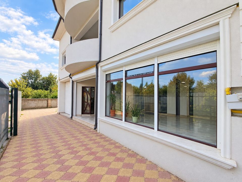Vila Chitila | Business & Rezidential – fotografia 1 din 22