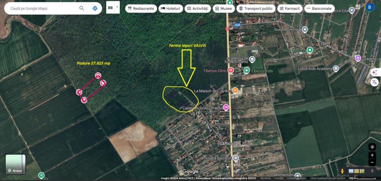 Padure 28.000mp - Saftica - 2e/mp - INVESTITIE - cel mai MIC pret – fotografia 3 din 6