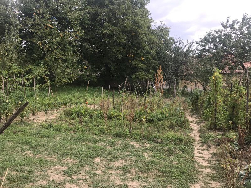 OKAZIE! Casa in Cricau 3 Camere 1300 mp. Curte Teren Fantana Utilitati Asfalt – fotografia 21 din 32