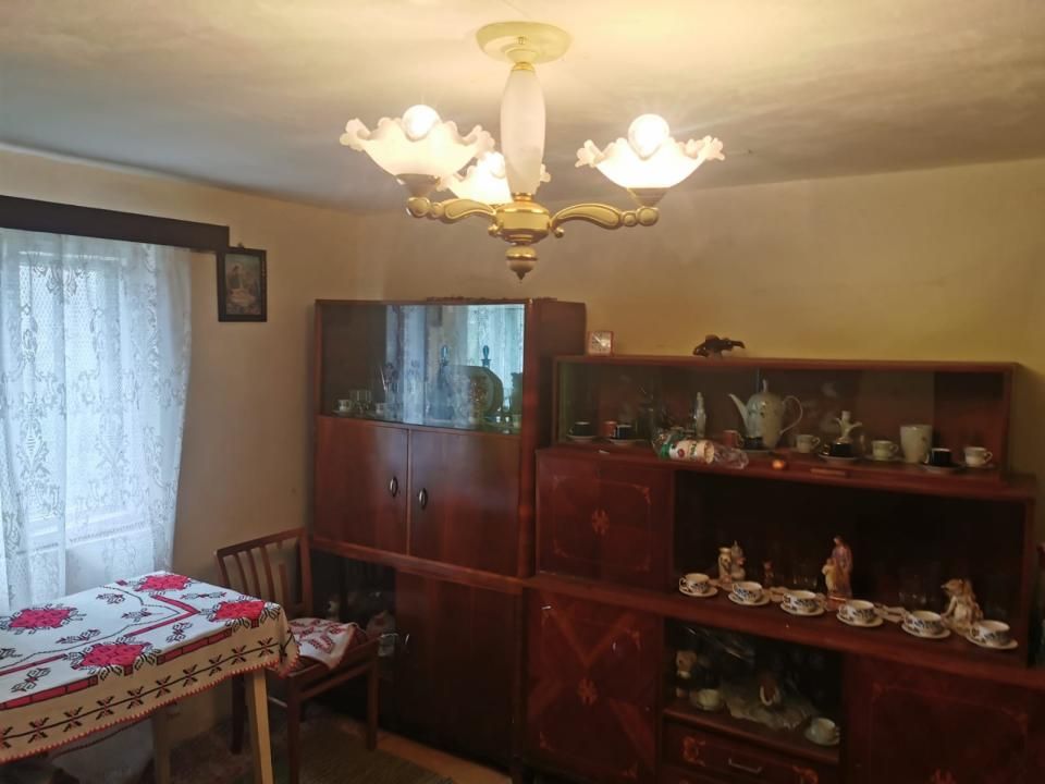Casa individuala 100mp cu teren 8000mp – fotografia 12 din 21