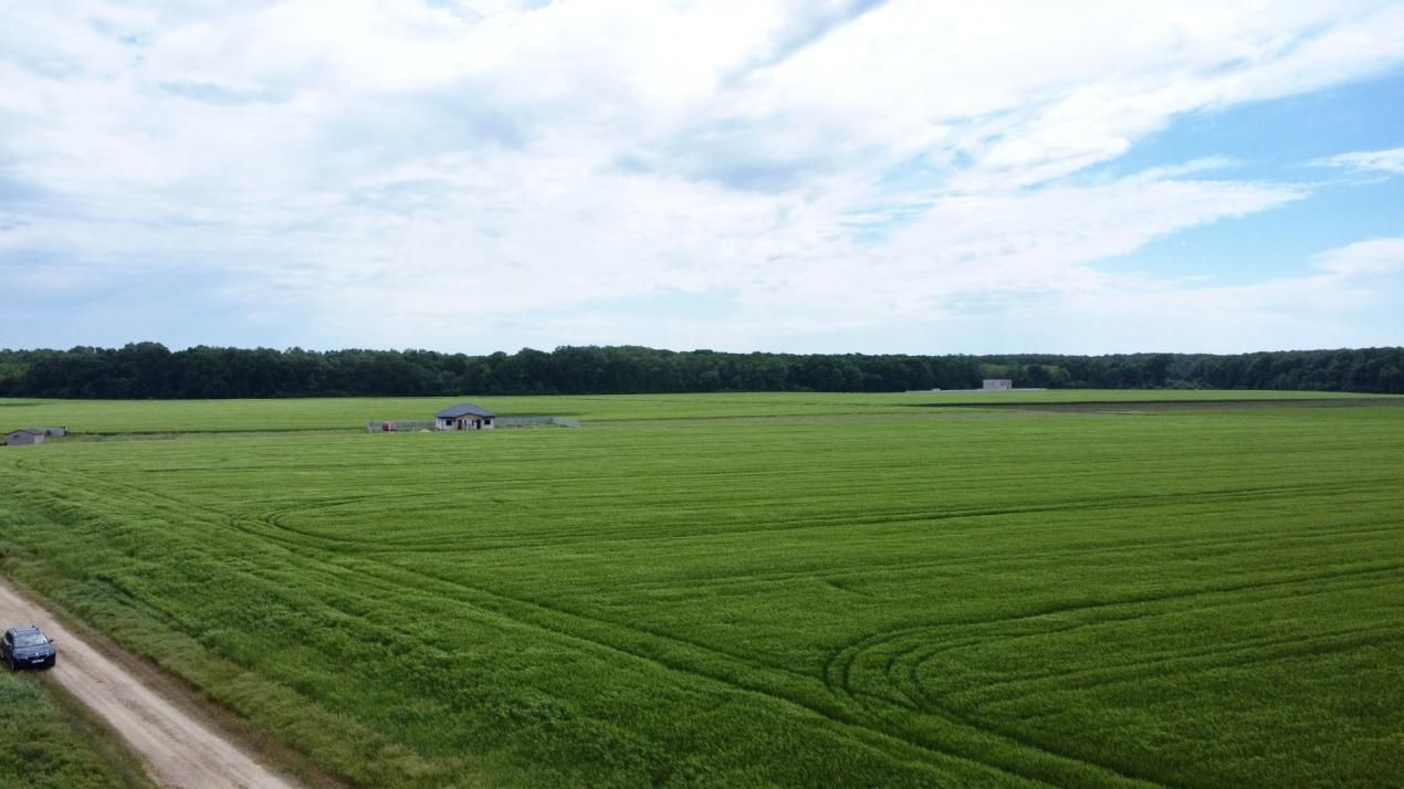 ✨OPORTUNITATE INVESTIȚIE:Teren intravilan 25.000mp Dascălu-Pădure, parcelabil✨ – fotografia 10 din 14