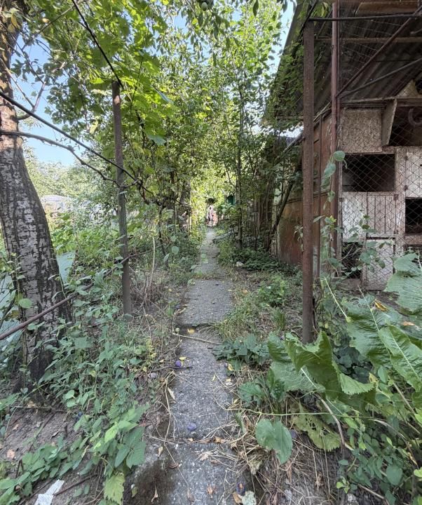 Casa individuala 6 camere, 165 mp utili, 641 mp teren - Ghiroda – fotografia 15 din 15