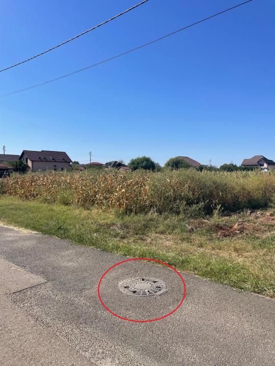 Teren intravilan-Moara Vlasiei 1.008 mp, toate utilitățile, la marginea pădurii – fotografia 5 din 12