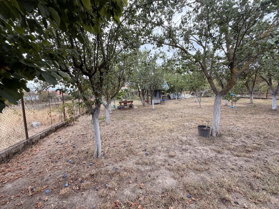 Casa individuala 300 mp, utili, 1100 mp gradina - Sag – fotografia 37 din 37