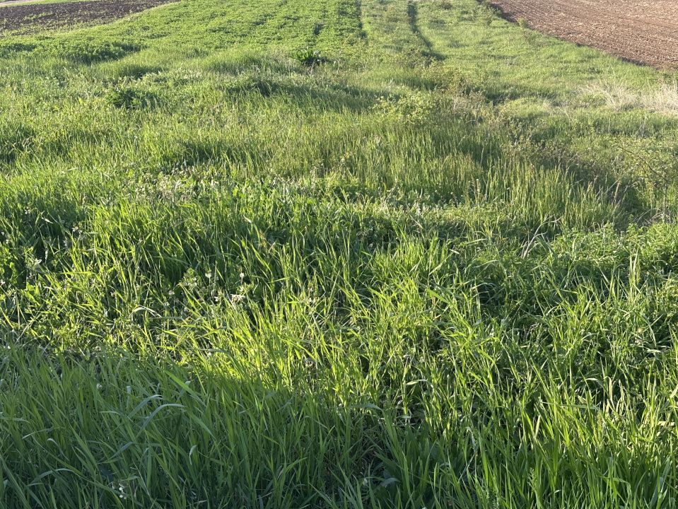 Teren Intravilan de vanzare in Alba Iulia zona Micesti in suprafata de 1077 mp – fotografia 2 din 2