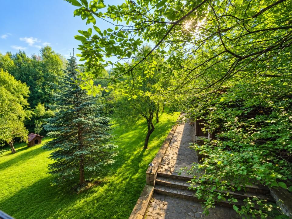 Mountain Chalet | Private Resort | Investment - Nistoresti – fotografia 15 din 25