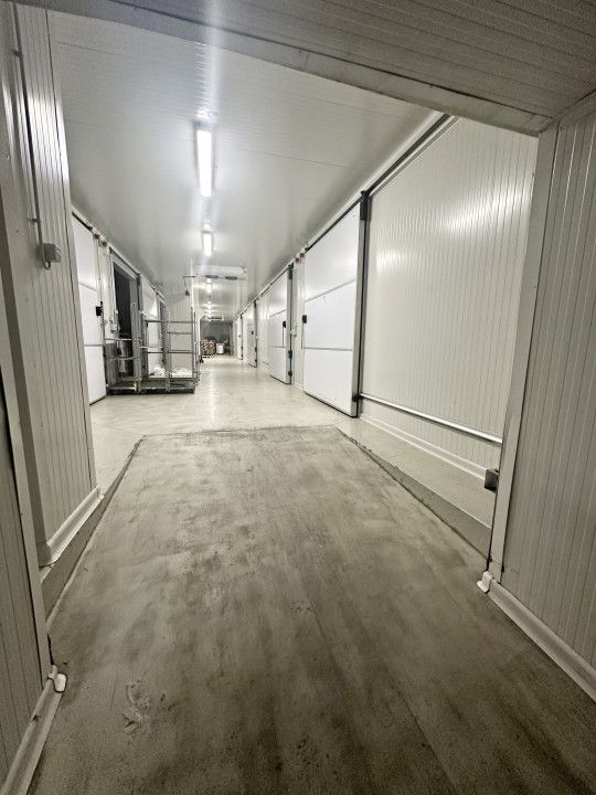 Hale frigorifice de închiriat în zona Est, Centura Oradea, Bihor – fotografia 3 din 5