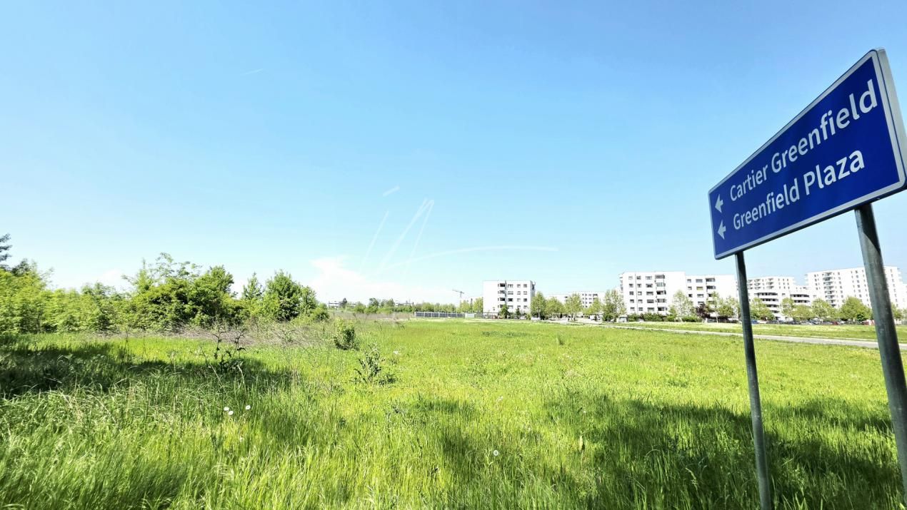 Teren intravilan, 2 fronturi, Drumul Padurea Pustnicu 65 - Greenfield – fotografia 22 din 43