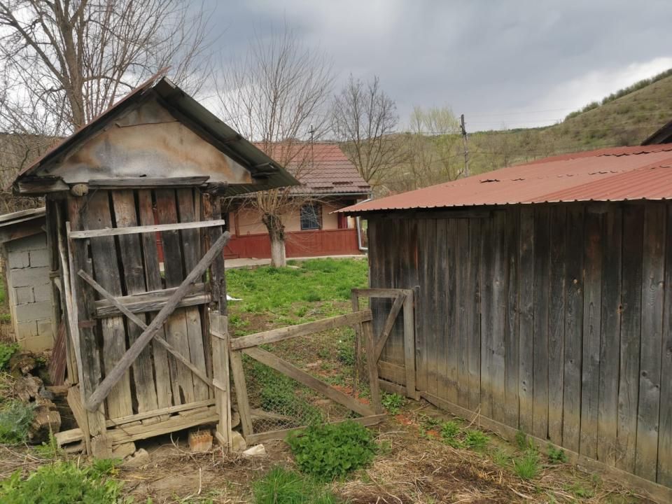 Casa individuala 100mp cu teren 8000mp – fotografia 11 din 21
