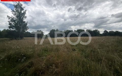 Teren extravilan cu utilitat 6000 mp langa Rau pe Valea Dejaniului