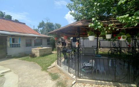 Casa si teren oras Sefanesti