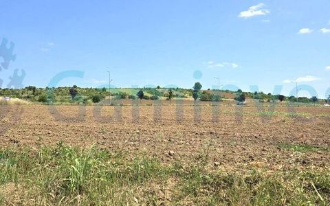 Teren intravilan de 4500 mp in zona industriala Episcopia,Oradea, Bihor