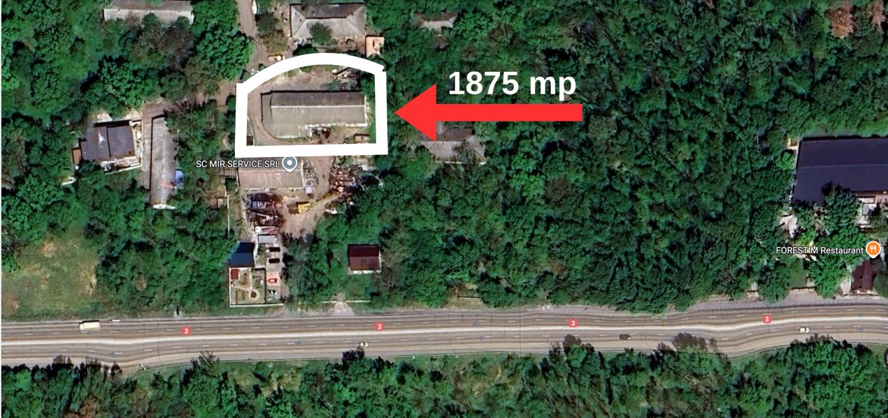 Hala 450 mp in mijlocul padurii Valu lui Traian cu teren 1875 mp – fotografia 9 din 9
