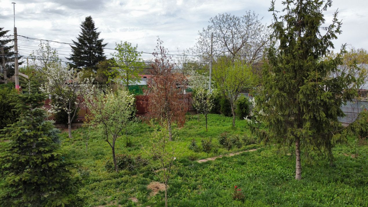 ✨[DOMENIU PRIVAT] Vilă deosebita în Inima Orașului Voluntari | Teren 2.500 mp |✨ – fotografia 38 din 48
