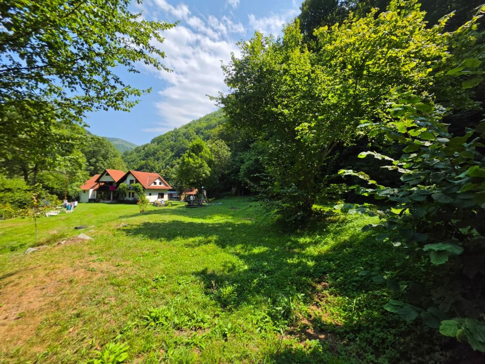 🏡 PROPRIETATE EXTRAORDINARĂ– LOTRIOARA, JUDEȚUL SIBIU! 🌲 – fotografia 15 din 72