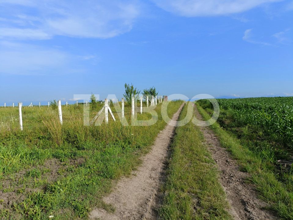 Teren de vanzare 5000 mp - pretabil investitie - Sura Mica – fotografia 2 din 3