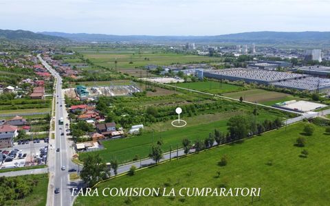 CAZANESTI DN67 TEREN 3956 MP