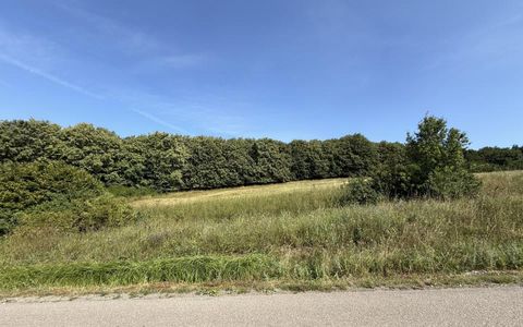 Teren intravilan 6297mp în Com. Mociu , Zorenii de Vale