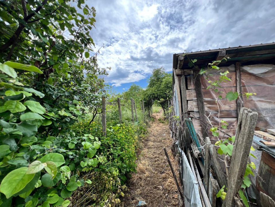 Casă + teren 4430 mp, vie și pomi fructiferi, 22 km de Tecuci – fotografia 17 din 36
