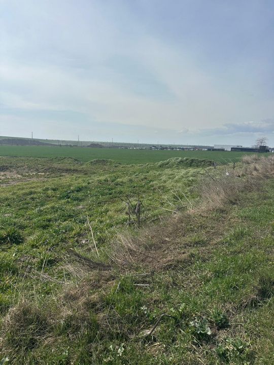 Teren intravilan 10.000 mp | DN | in Zona Volvo - Hala Neagră – fotografia 5 din 10
