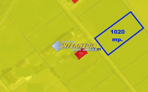 Teren intravilan de vanzare 1000mp Sard Alba, utilitati