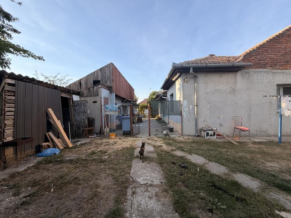 Casa individuala 110 mp utili, 1487 mp teren - Zona Blascovici – fotografia 11 din 17