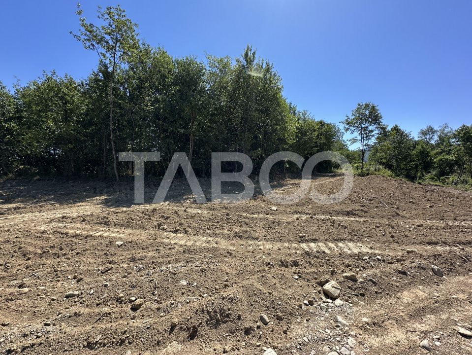 Teren extravilan cu utilitati 1800 mp langa Rau pe Valea Sebesului – fotografia 3 din 6