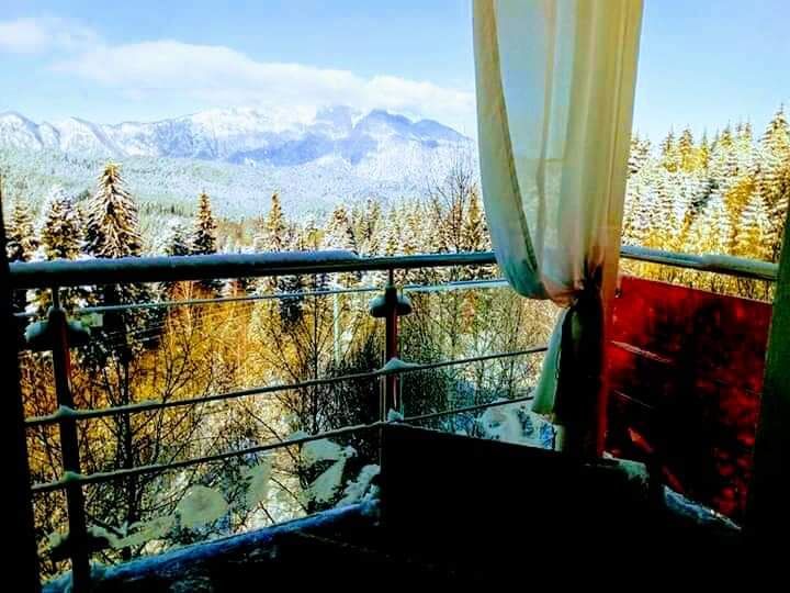 Vilă cu Panoramă 180° asupra Bucegilor | Reședință Exclusivistă Predeal – fotografia 8 din 27