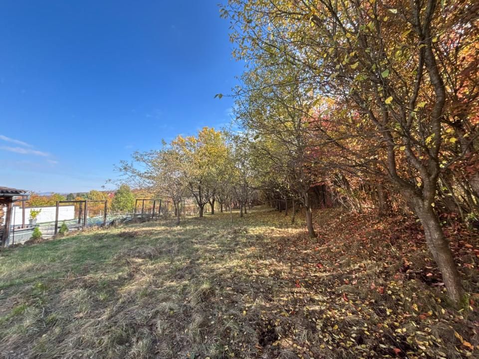 Teren intravilan 1198 mp - Turnu Roşu, Sibiu – fotografia 3 din 12