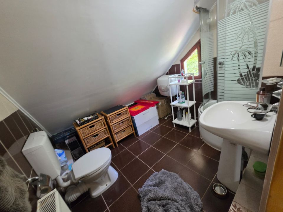 🏡 PROPRIETATE EXTRAORDINARĂ– LOTRIOARA, JUDEȚUL SIBIU! 🌲 – fotografia 42 din 72