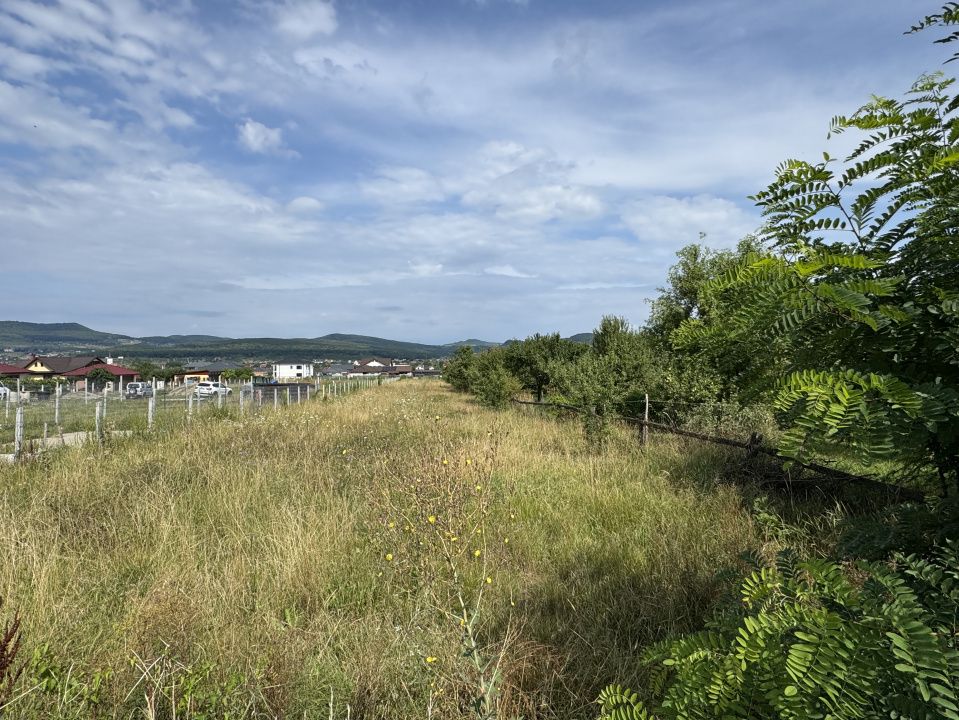 🏡 Teren intravilan de vânzare, 19.42 Ari – zona Unirea, TeraPlast Arena – fotografia 1 din 2