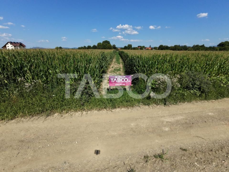 Teren intravilan 2000 mp si extravilan 1150 mp de vanzare in Vad – fotografia 4 din 6