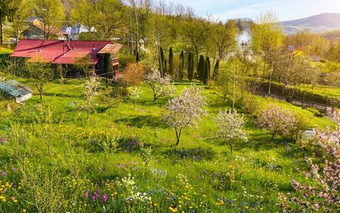 Teren intravilan Slanic Prahova
