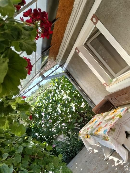 Casă 60 mp utili, teren 1.400 mp | Borșa (Răscruci), Cluj – fotografia 7 din 16