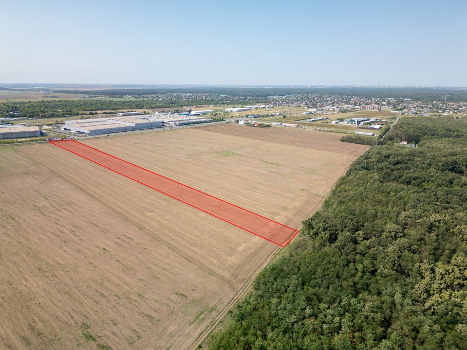 Teren Vanzare Intravilan Branesti investitie Zona Industriala Makita – fotografia 13 din 35