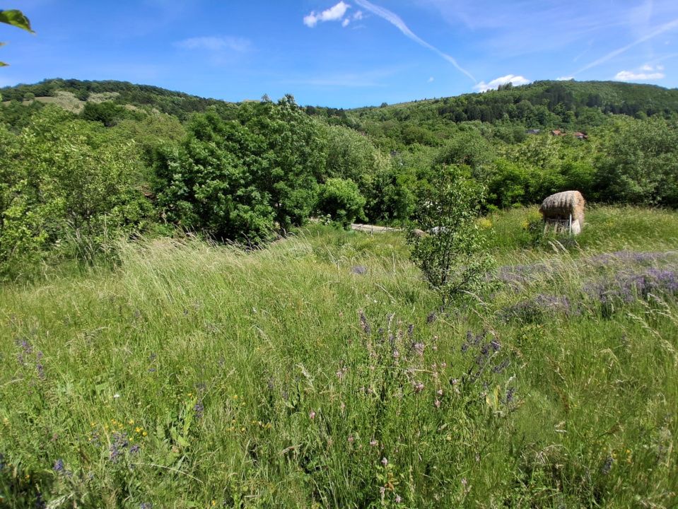 Ofertă de vânzare teren de 2700 mp., sat Popești – fotografia 2 din 6