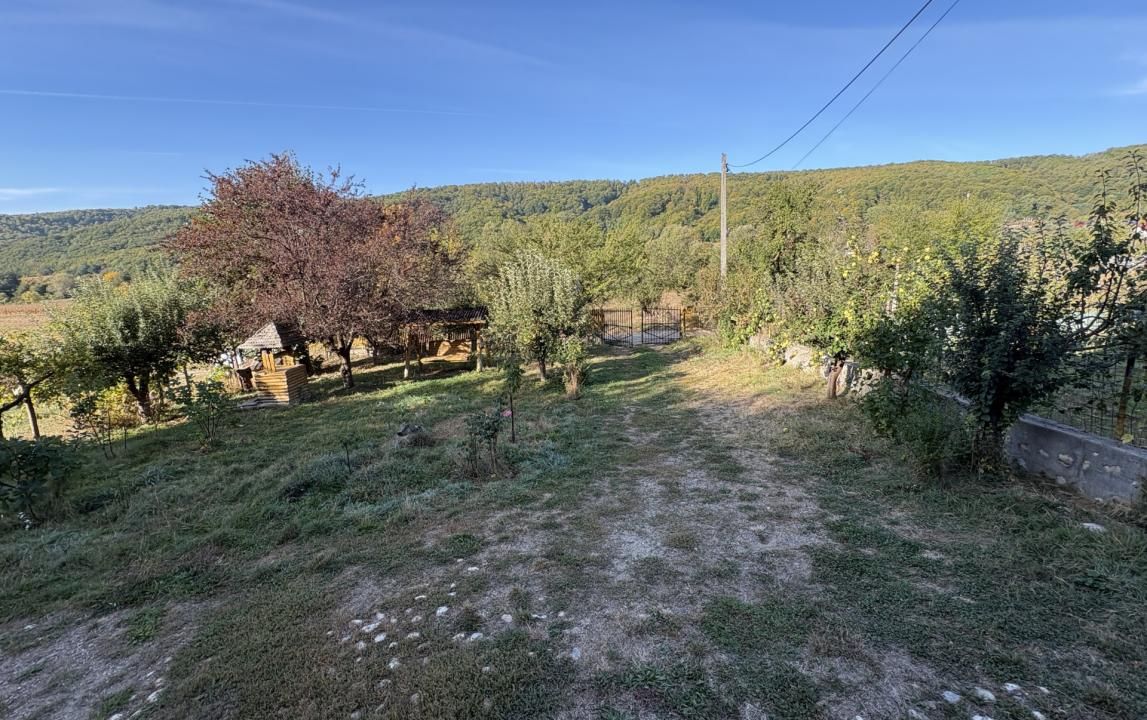 Micesti 12 km de Pitesti/ 2 cabane/ 2.500 mp teren/ priveliste superba – fotografia 2 din 15