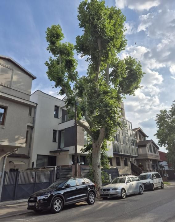 Casa de inchiriat | Tineretului | 280 mp | Birouri - Firme – fotografia 1 din 20