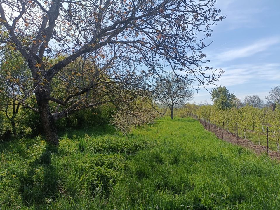 Casă de vânzare Reghin - Morăreni – fotografia 8 din 8