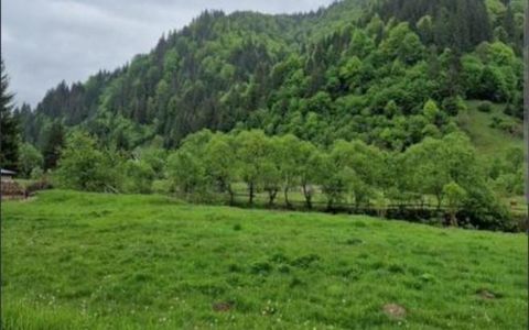 🌿 TEREN DE VÂNZARE LA IEȘIRE DIN POPLACA – PANORAMĂ SPRE PĂDURE ȘI ORAȘ! 🌳🏡