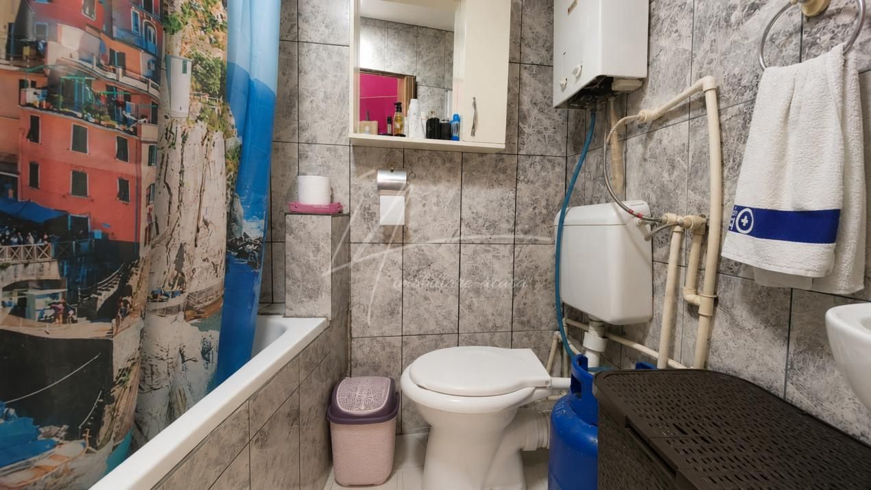 Pieptanari 100. Casele din umbra teilor. Rezidential sau comercial? – fotografia 47 din 60