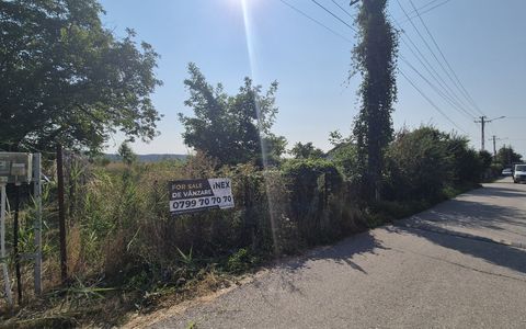 Teren intravilan Bascov - Lunca | 3151 mp