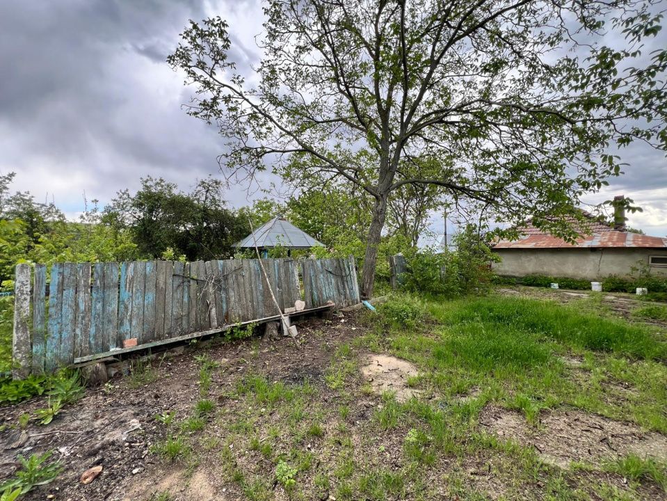 Casă + teren 4430 mp, vie și pomi fructiferi, 22 km de Tecuci – fotografia 13 din 36